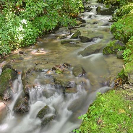 Panther Creek Cabins Черокі Екстер'єр фото