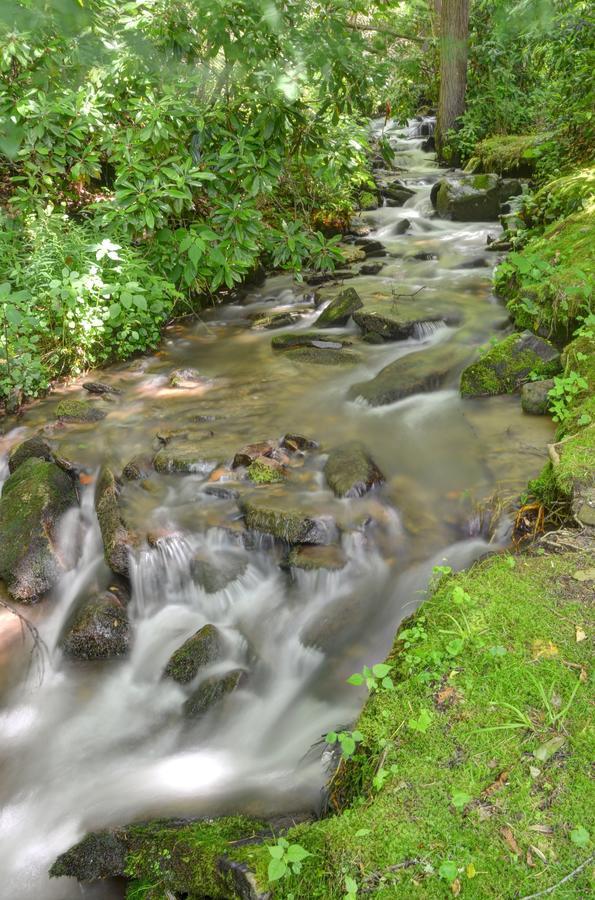 Panther Creek Cabins Черокі Екстер'єр фото